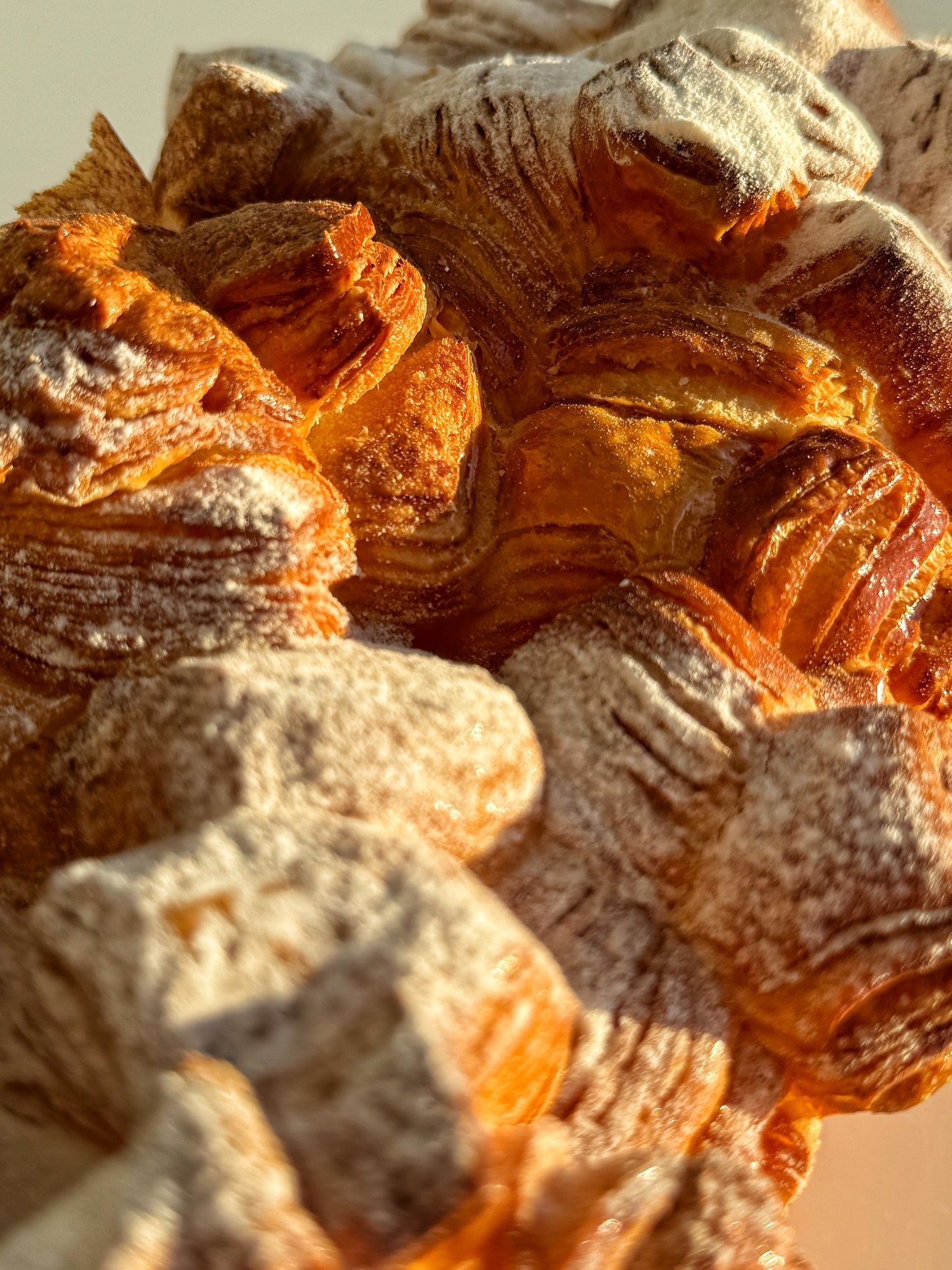La Brioche Feuilletée Nature