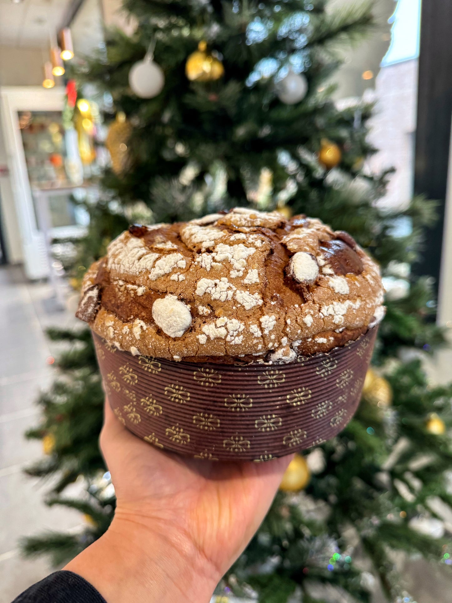Le Panettone Traditionnel